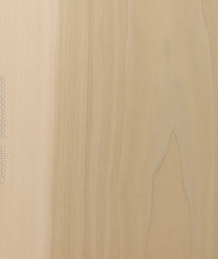 Poplar US Veneered Birch Plywood - Peter Benson Plywood Ltd